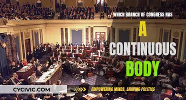 The Continuous Body: Understanding Congress' Unique Branch