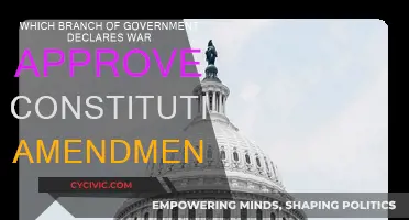 Executive and Legislative Powers: War and Amendments