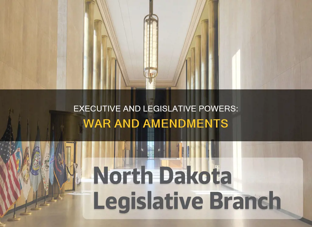 which branch of government declares war approves constitutional amendments