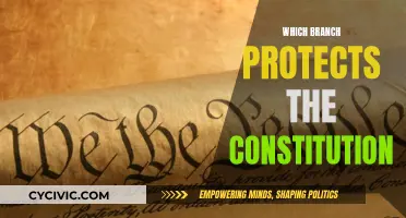 The Constitution's Guardian: Understanding the Role of Its Protectors