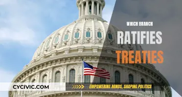 The Power to Ratify Treaties