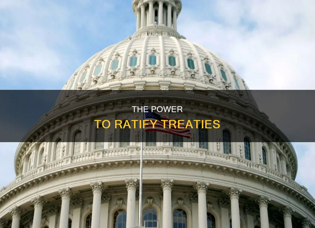 which branch ratifies treaties