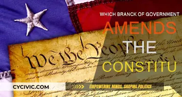 Amending the Constitution: Understanding the Government's Role