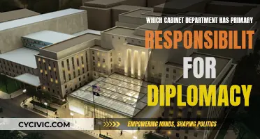 Diplomacy and Cabinet: Who Leads the Department?