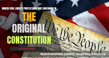 Civil Liberties: The Constitution's Original Protections