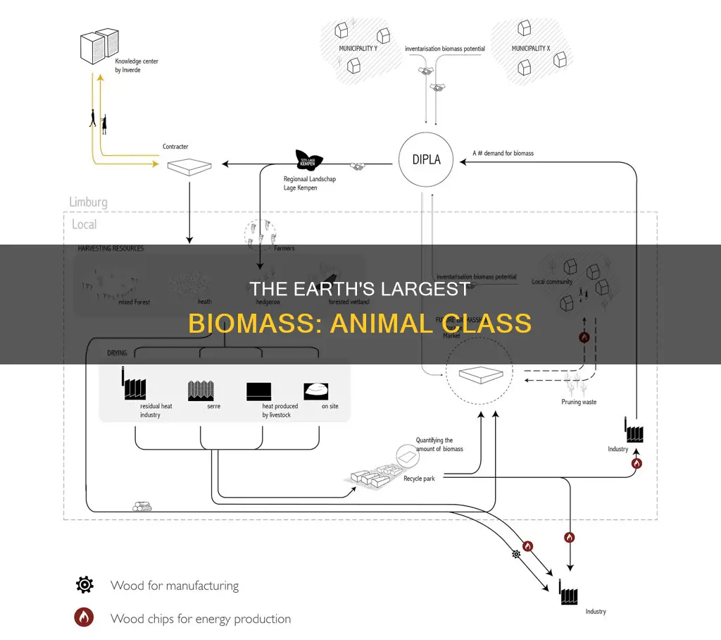 which class of animals constitutes the largest biomass on earth