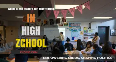 Understanding the Constitution: A High School Class Essential