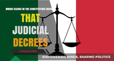 Judicial Decrees: The Constitution's Safeguard Clause