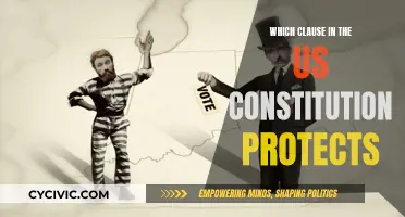 The US Constitution: Safeguarding Citizens' Rights and Freedoms