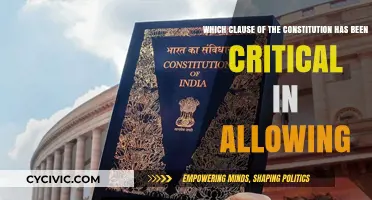 Constitution Clauses: Critical Enablers of Our Rights