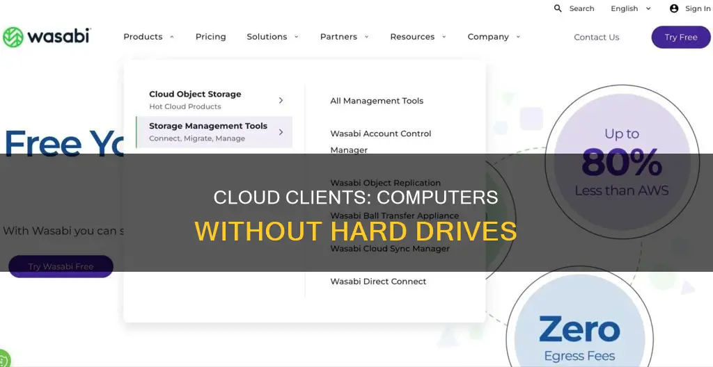 which cloud client constitute computers without a hard drive