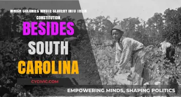 Slavery in the Colonies: Constitutions and Their Dark Legacy