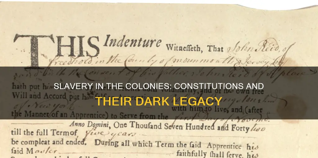 which colonies wrote slavery into their constitution besides south carolina