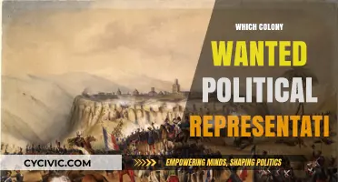 Colonial Cries for Representation: Which Colony Demanded Political Voice?