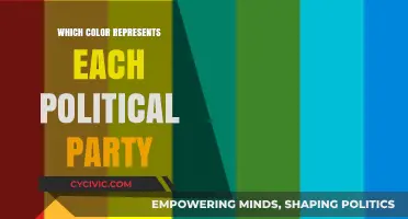 Decoding Political Party Colors: Symbolic Meanings and Global Representations