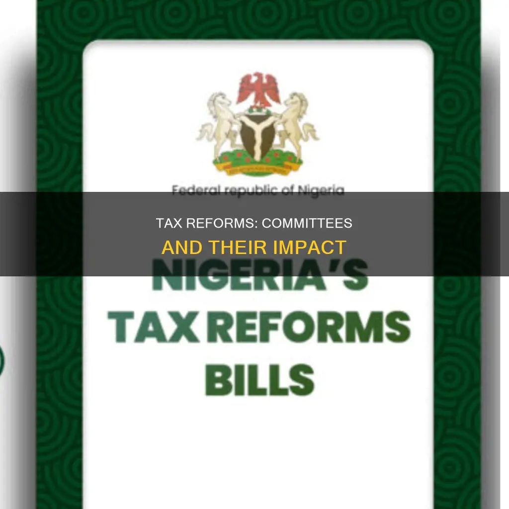 which committee was constituted for reforms in tax structure