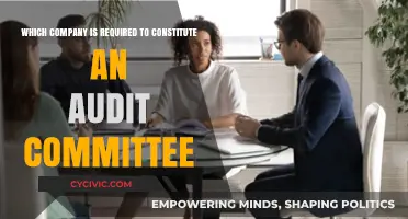 Who Needs to Form an Audit Committee?