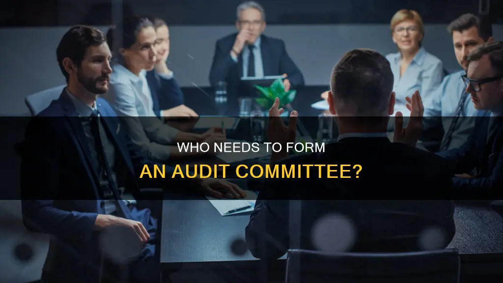 which company is required to constitute an audit committee