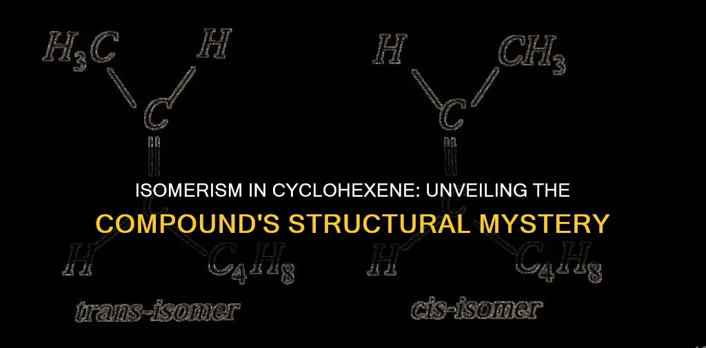 which compound is a constitutional isomer of cyclohexene