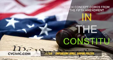 Understanding the Fifth Amendment: Constitutional Rights Explained