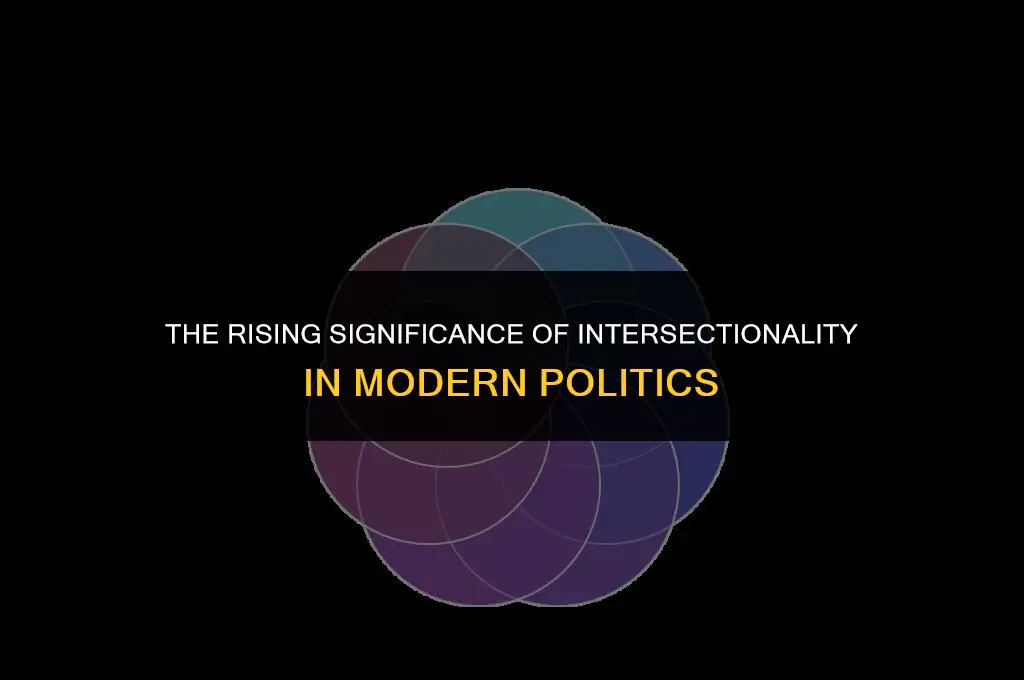 which concept is increasingly important in politics and best describes