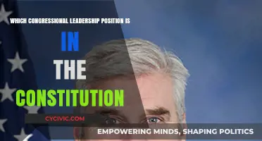 Leadership Roles: Congressional Powers in the Constitution
