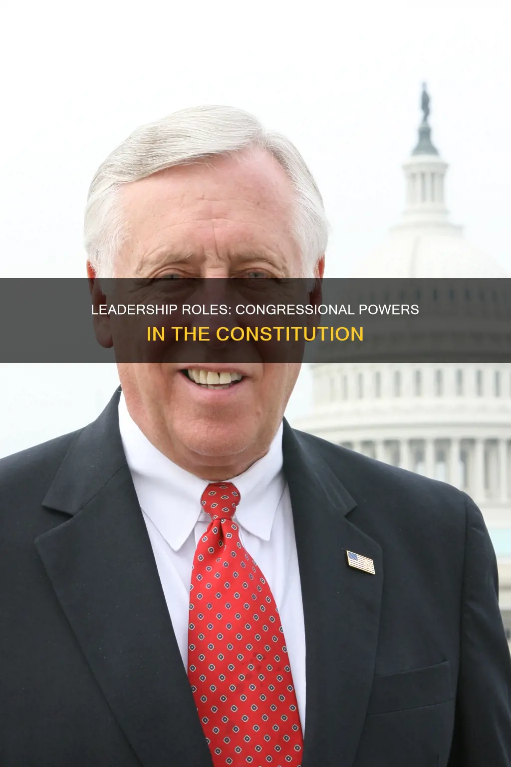 which congressional leadership position is in the constitution