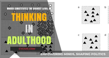 Cognitive Complexity: The Pinnacle of Adult Thinking