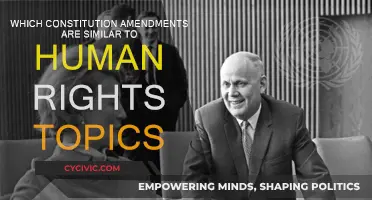 Amendments and Human Rights: Exploring Constitutional Similarities