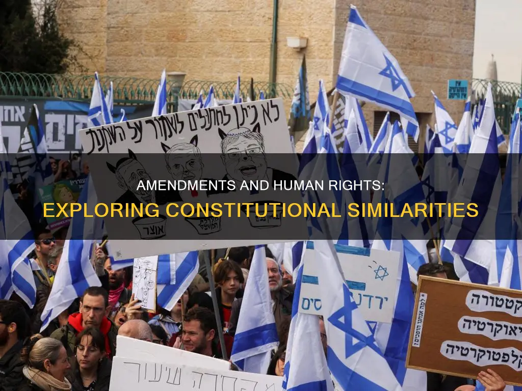 which constitution amendments are similar to human rights topics