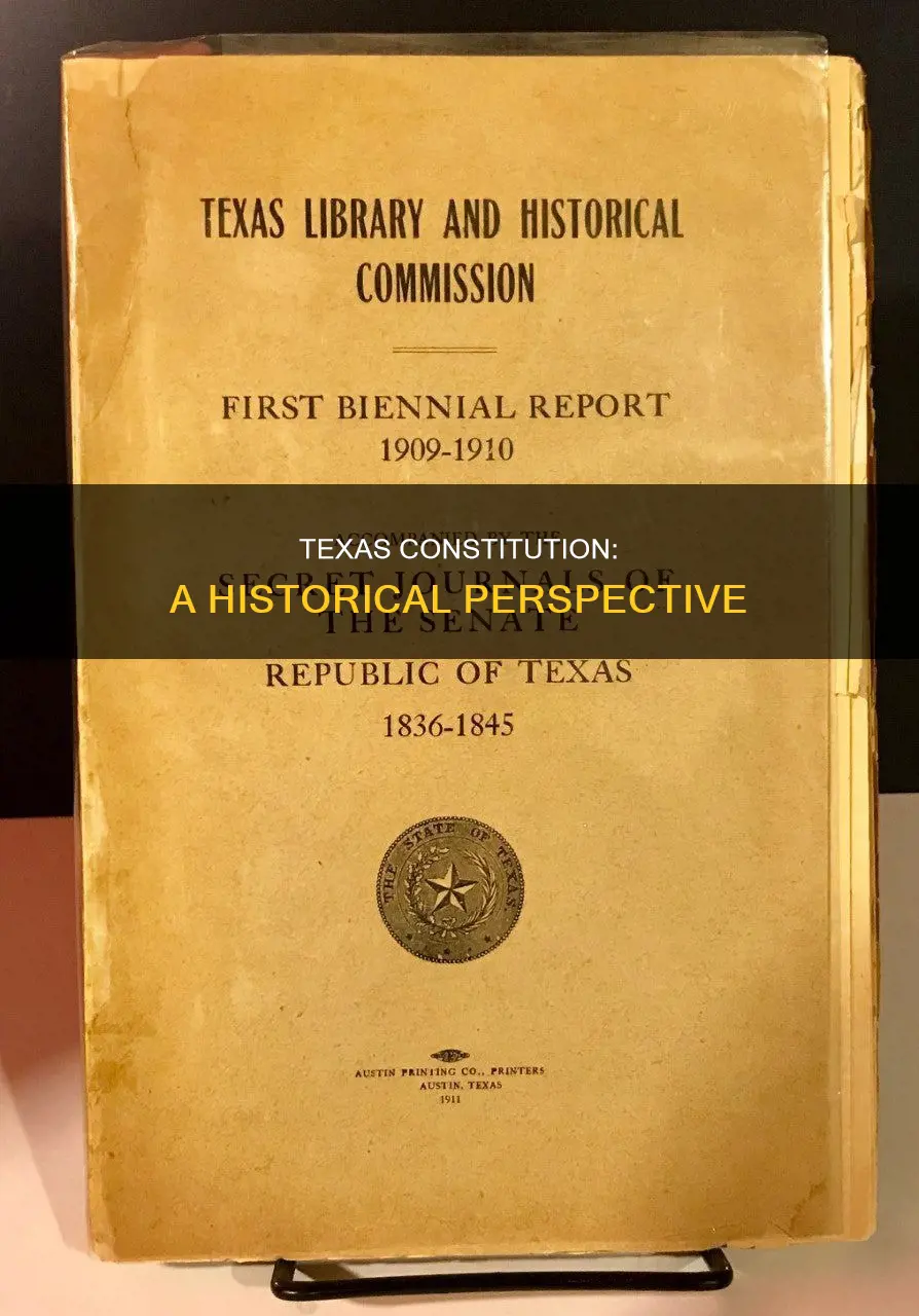 which constitution contribute the most to texas essay