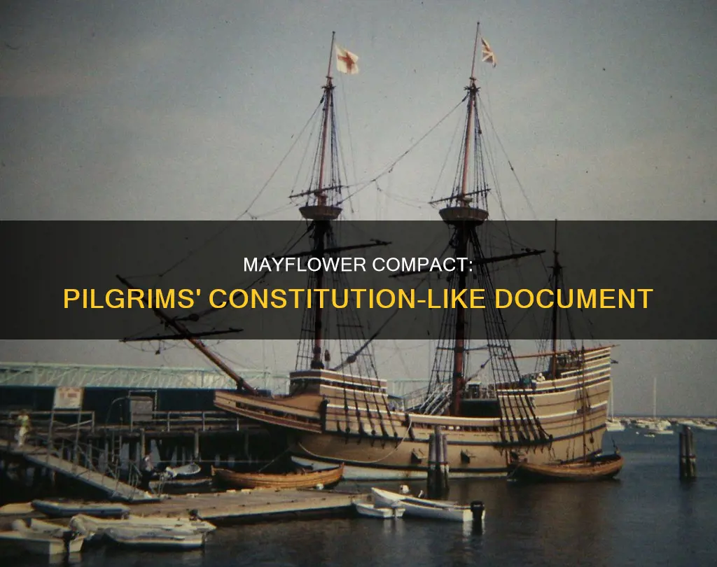 which constitution like document was made by the pilgrims