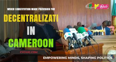Cameroon's Decentralization Journey: Constitutional Provisions Explored