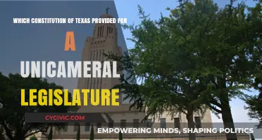 Texas Constitution: Unicameral Legislature Provision