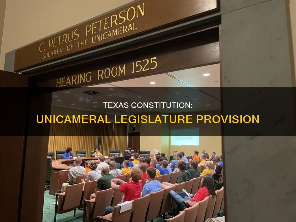 which constitution of texas provided for a unicameral legislature
