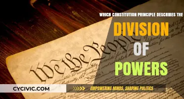 Separation of Powers: A Constitutional Principle