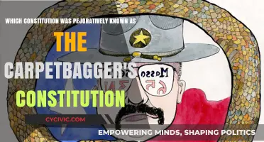 Carpetbagger's Constitution: A Historical Disgrace