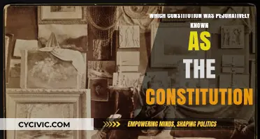 The "Pejorative Constitution": A Historical Perspective