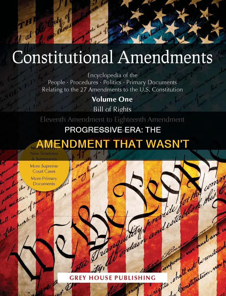 which constitutional amendent least reflected an object of progressive are