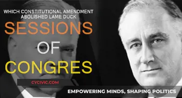 Ending Lame Duck Sessions: The 20th Amendment's Legacy