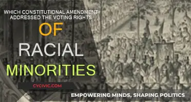 Voting Rights Act: The 15th Amendment's Impact