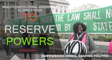 The States' Reserved Powers: Which Constitutional Amendment?