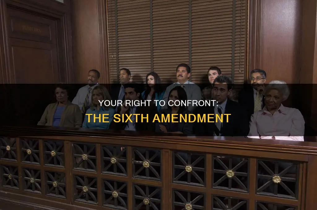 which constitutional amendment allows you to face your accuser