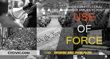 Post-Confinement Force: Which Amendment Applies?