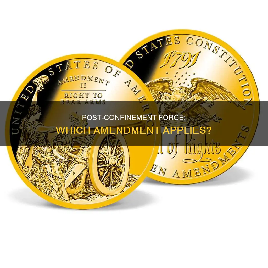 which constitutional amendment applies to post confinement use of force