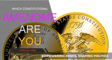 Your Personality: Which Constitutional Amendment Are You?