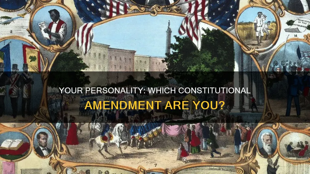 which constitutional amendment are you