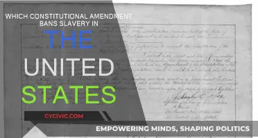 The Amendment that Freed: Abolishing Slavery in America
