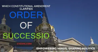 The Presidential Succession Plan: A Constitutional Amendment