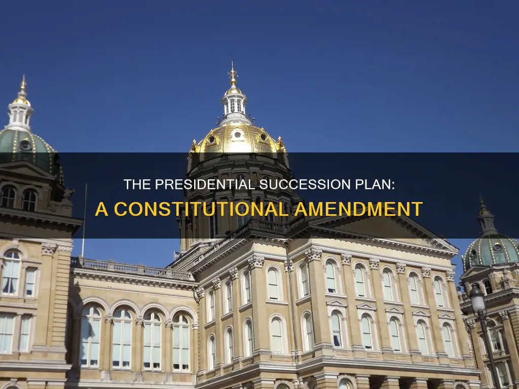 which constitutional amendment clarifies order of succession